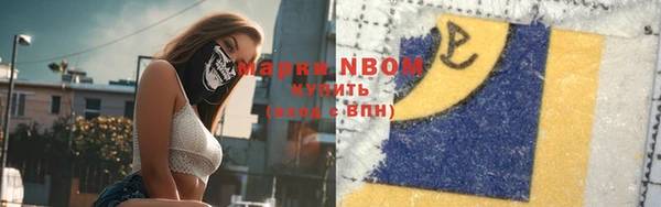 индика Козловка